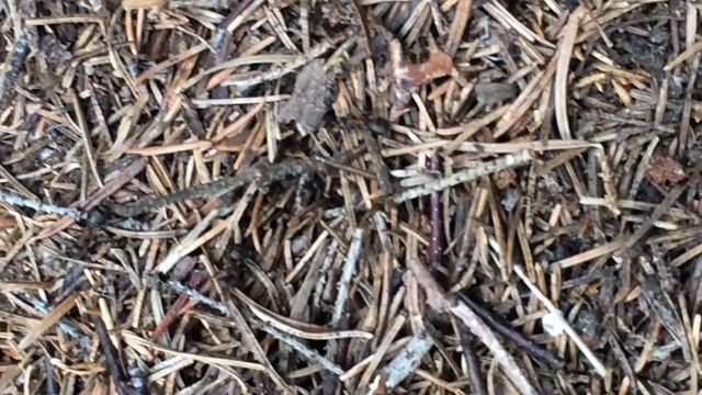 2c4d1989fd148c3d5d228f6f25d4cdb3