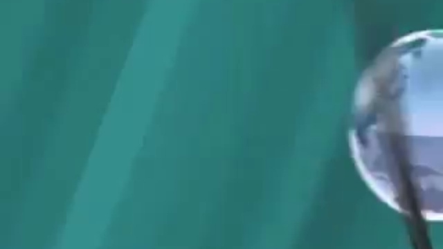 Крупным планом 3