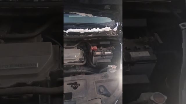 Краткий обзор Nissan Liaf 2012 zeo