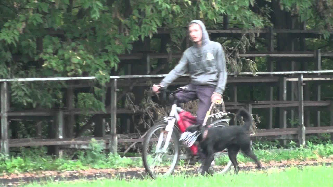 Беговая нагрузка. Ставр. Движения.