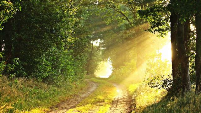 Calm Meditation Music | Meditation Without Words 20 Minutes