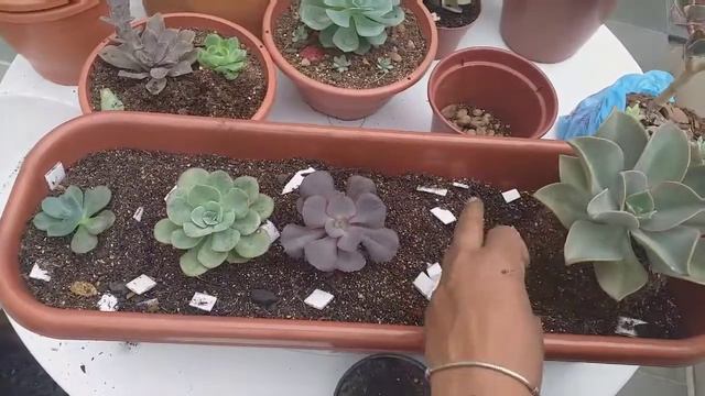 B67c38c73a73424ad516764f7373fb62