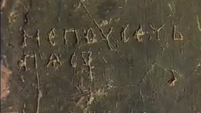 31b4e6c168a2322da93328e4efc14632