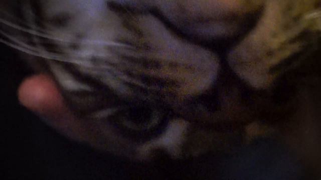 В нирване...