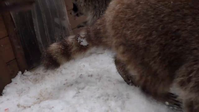 A9e9cf18342b7acb7ce72a8b79b1b200