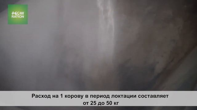 РУМЕНБУФФЕР