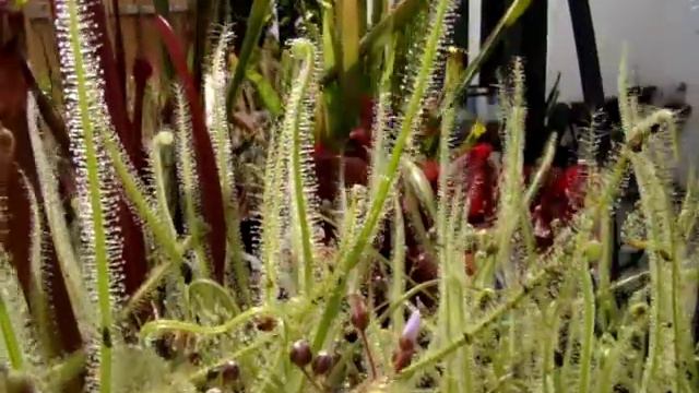 B53944bd0c6b9e3fb1f059d35386e931