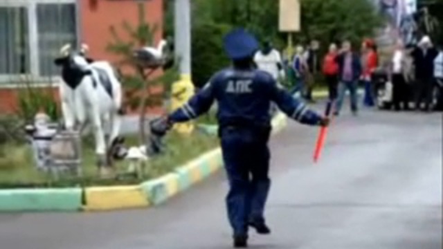 14930cdf5843ab3e7b41e9b0ee7113b5