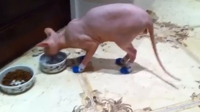 Cbd7465f08334c6b60e16843f89340b8