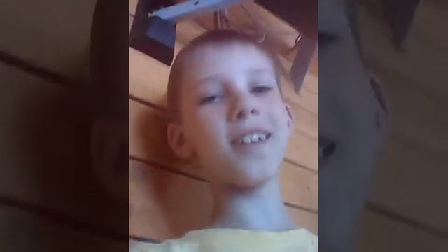 собачий лагерь