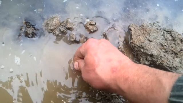 НАШЛИ МЕДАЛЬ И СЕРЕБРУШКУ