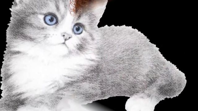 Любви  Мира и Благополучия каждому дому