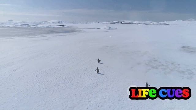 9e112888655ff94f5ad358291bf95f8f