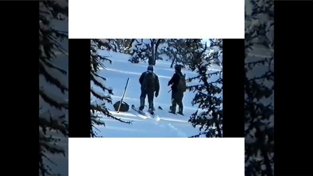 Анекдоты на каждый день: Канал развлечений