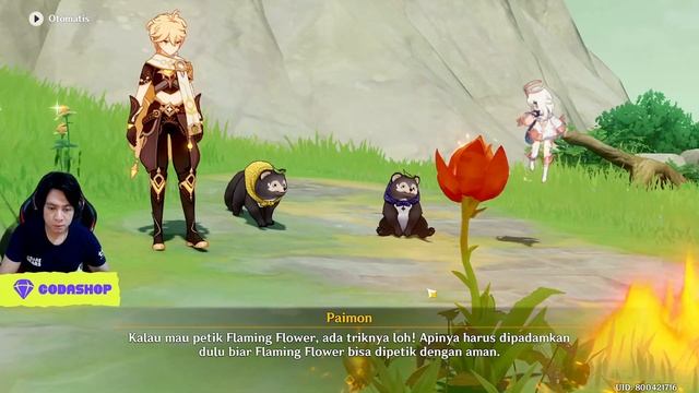 Quest Bake Danuki Wanderlust Part 1 - Archipelago V2.8 Genshin Impact