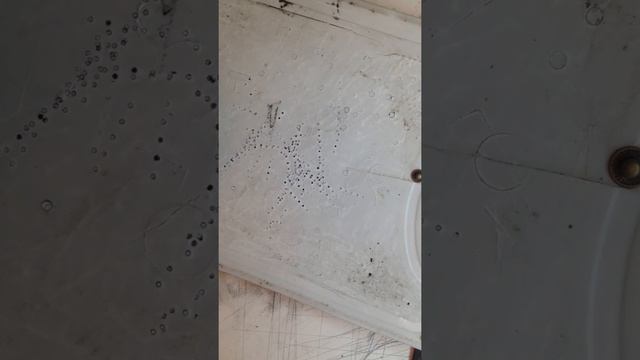 Монетница Чехол (резьба по коже) Часть 3