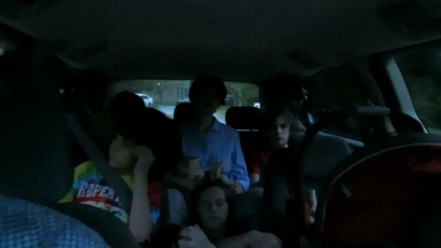 Мама и пятеро детей, не считая бабушки и дедушки, едут в машине!Пётр и Николай поют грузинские песн