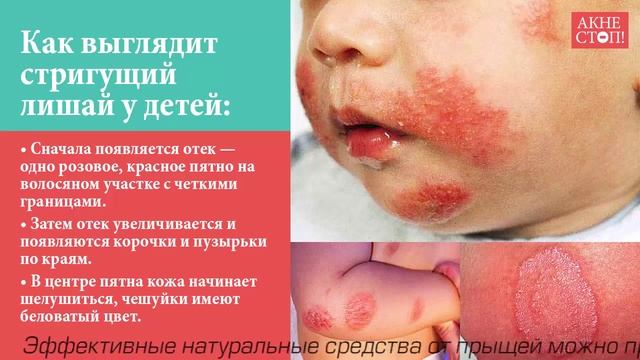 Сделай Себя Профессионалом