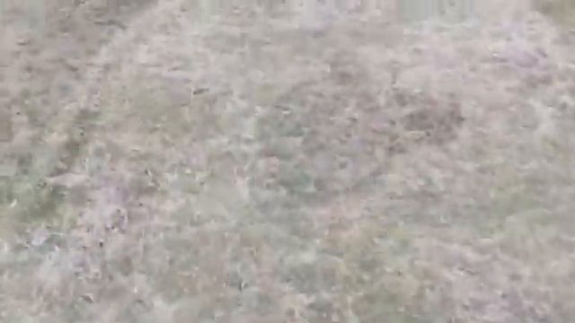 Коп в песках!