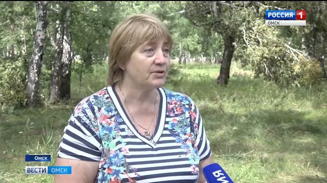 вырубка на Московке