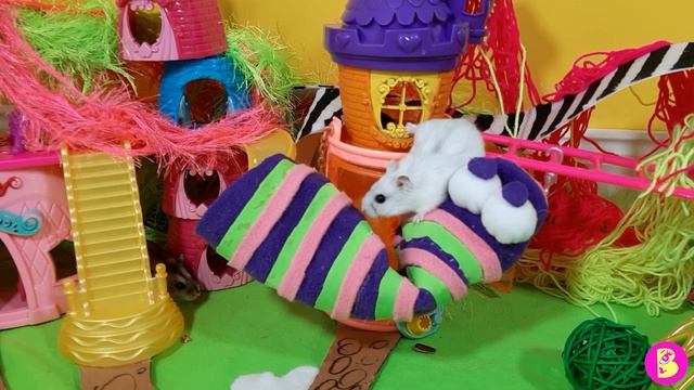 5fda2d2effad4216c96a583e99109cad