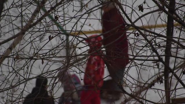 Canon 80D + объектив Canon Ef 75-300mm F/4-5.6 Iii играемся с выдержкой