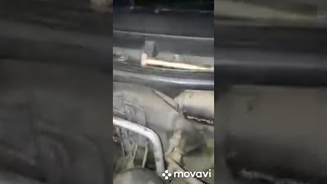 Хобби Творец