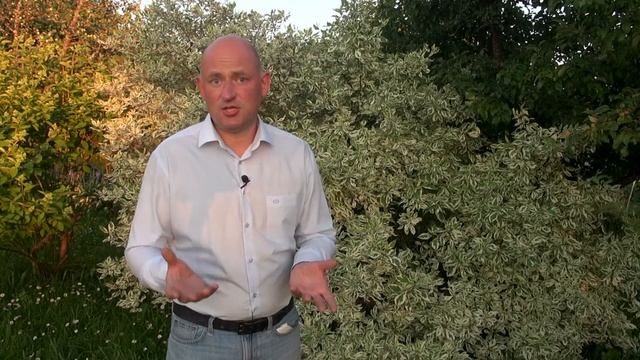 Когда переходить к первому поцелую?