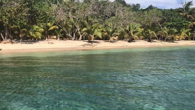 Дикий мир ЦА.movie