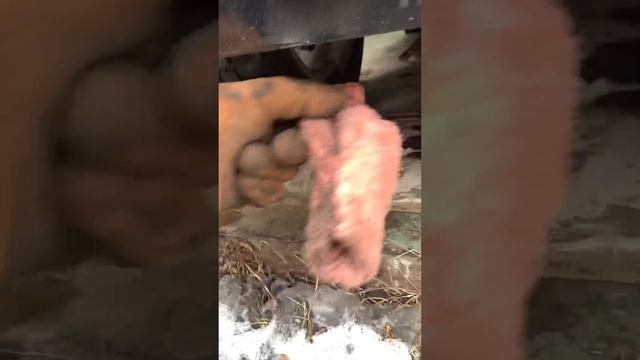 Замена масла и фильтров в двигателе и КПП