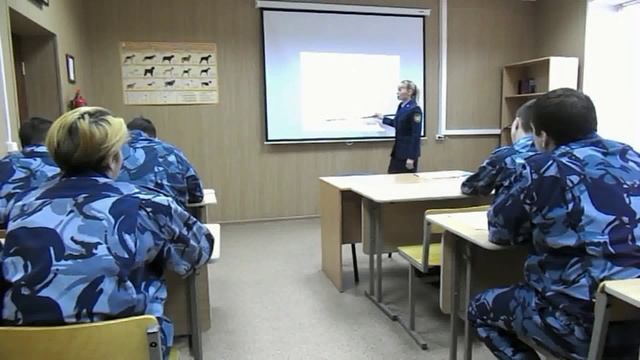 Служба собаководства проект Селиной Александры