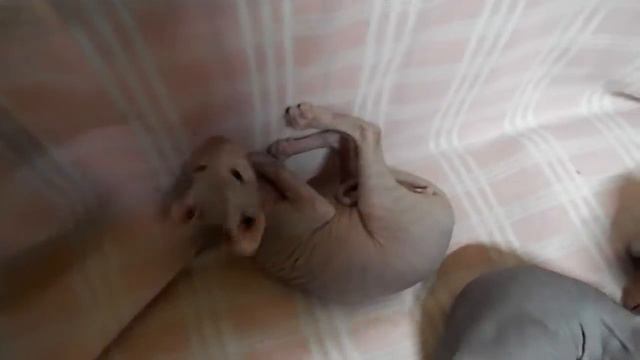 22d02e5142aee579f49e48d55ac3599a