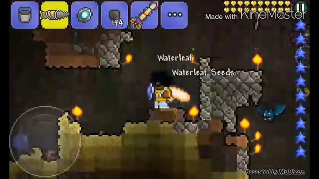 Terraria 1.2 - How To Collect Water Leaf Seeds ( Water Leaf Guide )