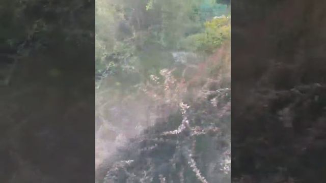 Декоративный деревянный декор