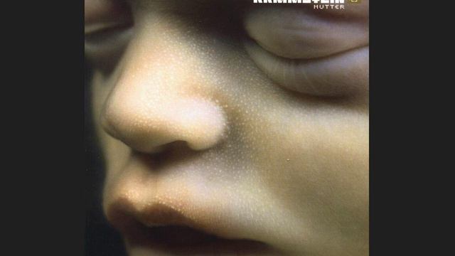 Rammstein - Mutter | Instrumental Cover