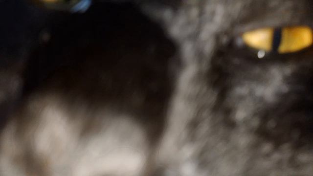 C131789cd88aa211cf861254a1ee167a