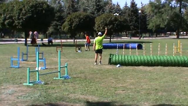 Этап Кубка Украины, Бостон терьер Дарлинг, Джампинг