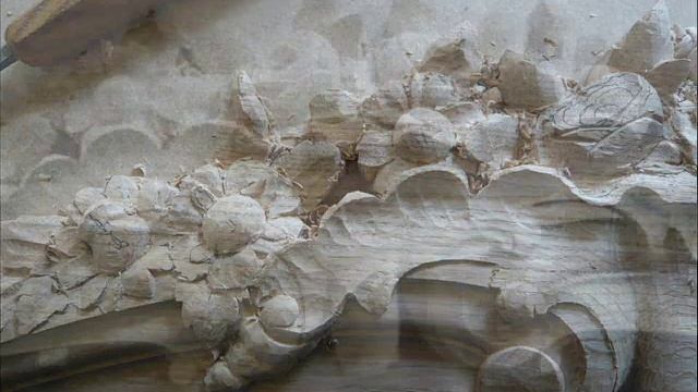 Ec65199ce539d85b0b7fc0bb8637551a