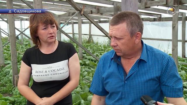 Тепличный бизнес супругов Савельевых