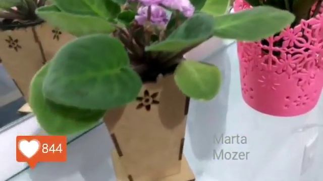 517ce65caa449dab9a746f0a6ec5e895