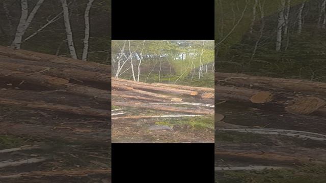 план на смену