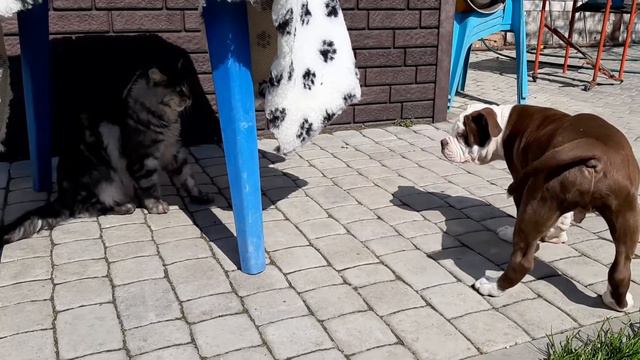 F083992bf73367b3095d4680290053c4