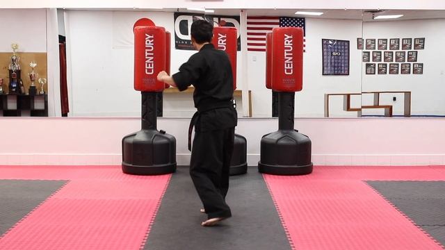 KARATE Lesson 25 - Karate Combo 11