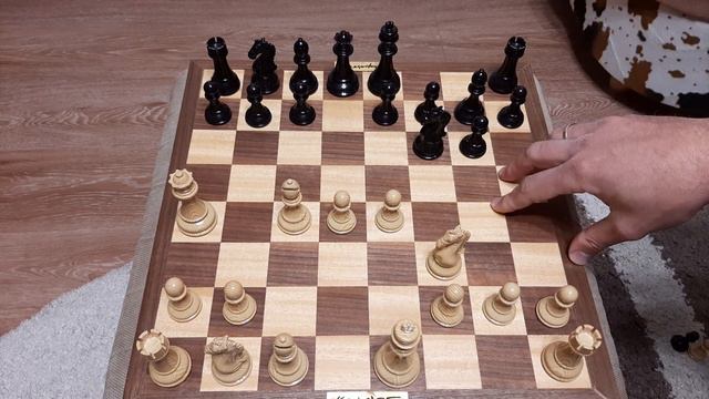 Шахматы. Белый ферзь хитрее черного ферзя. Понятное объяснение шахмат.