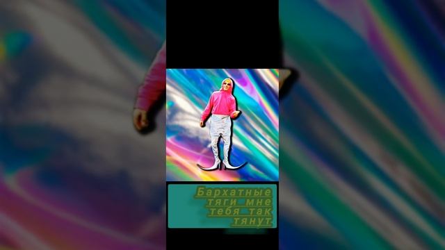 Текст Песня про бархатные тяги