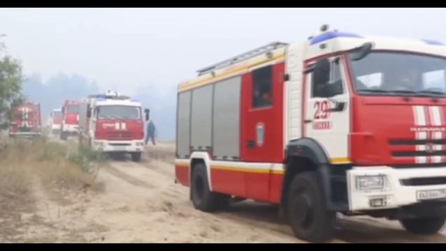 Органы лесного хозяйства Рязанской области скрывали реальные масштабы пожаров