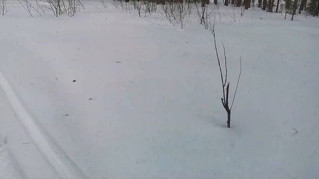 311f982be7f840a5d6366e85b4fbbfa0