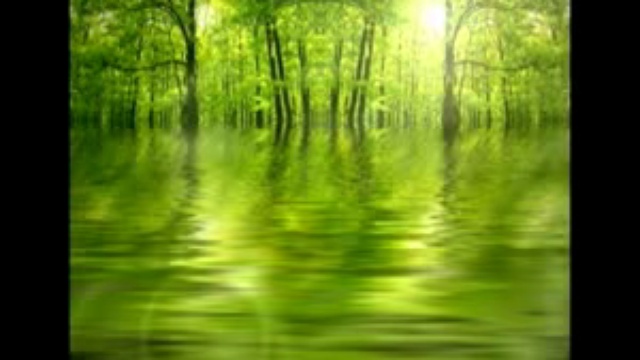 1c9567c1aaaf0a989313ca51627d41fb