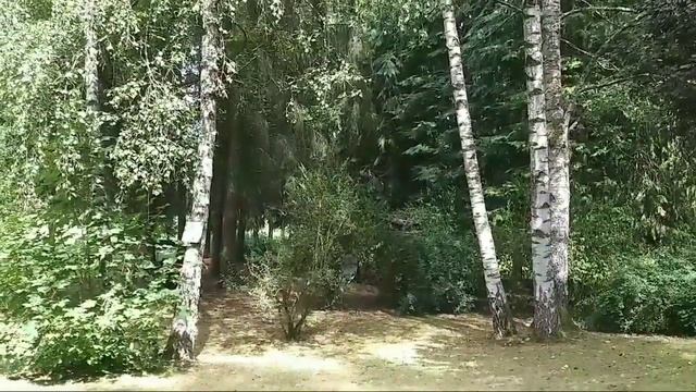 .Идеи для дома и сада. Маленький дом в лесу.   возле ручья.19.08.20