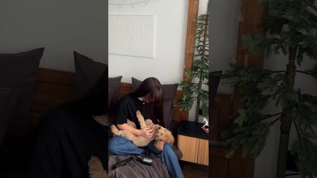 Почувствуйте инновации в уходе за волосами с феном RED Solution RF-500💎 #красота #стиль #тренды